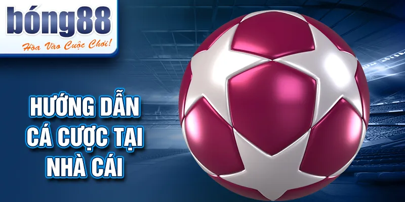 Hướng dẫn cá cược tại nhà cái